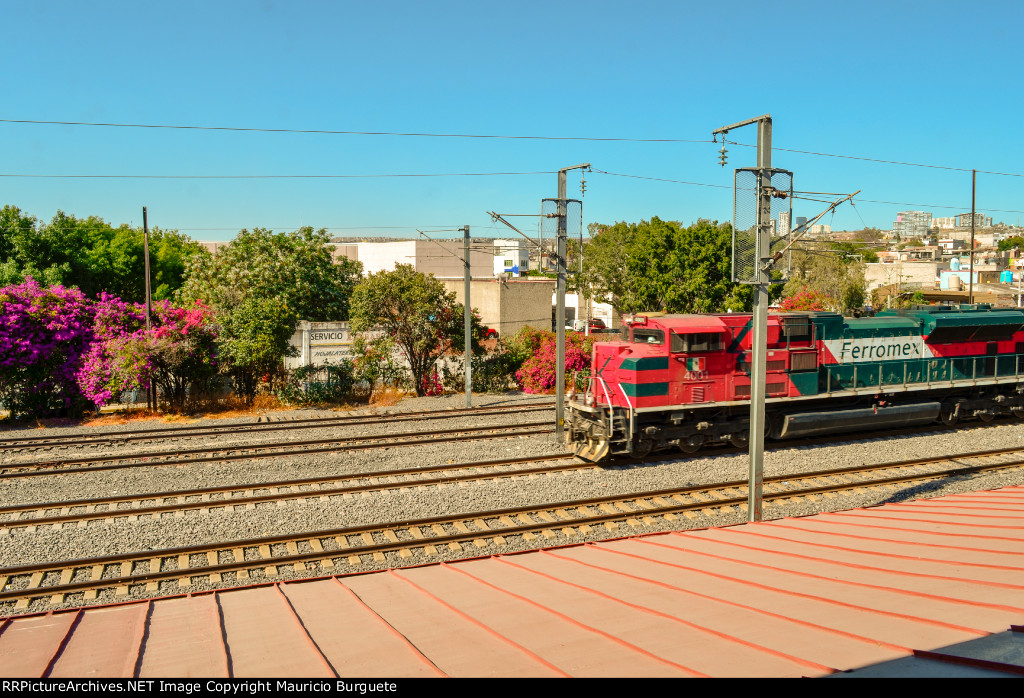 FXE SD70ACe Locomotive 